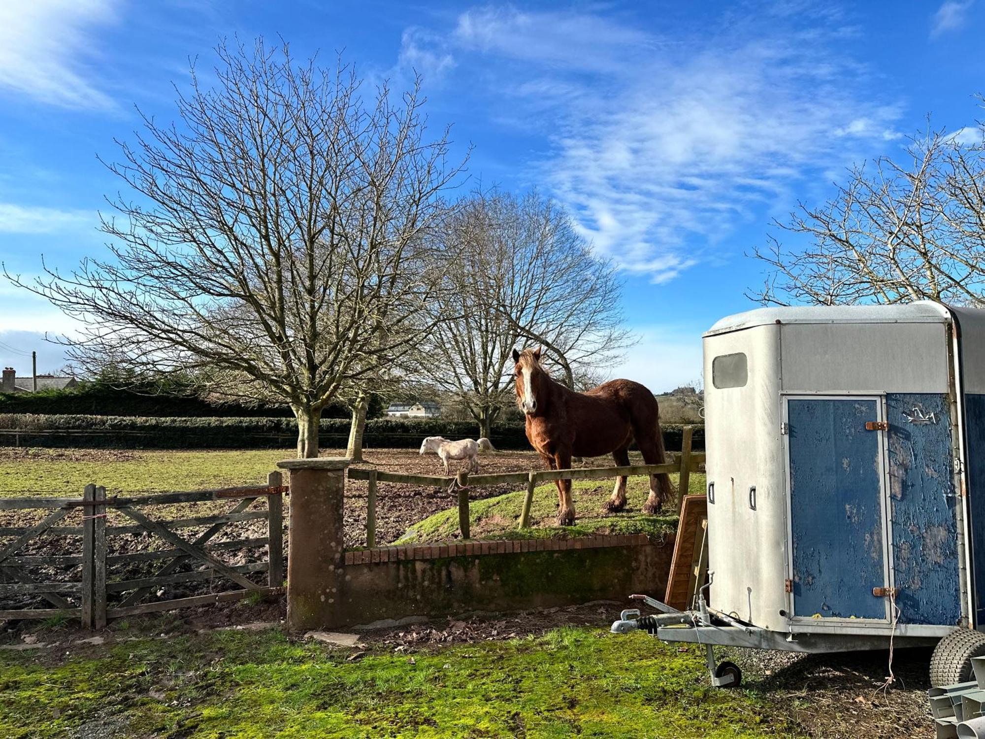 Apartment Shepherds Hut